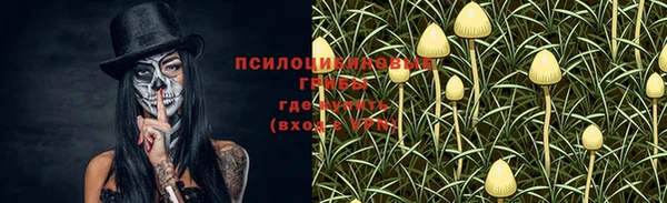 метадон Алексеевка