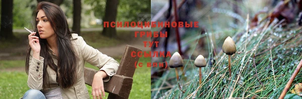 синтетический гашиш Горнозаводск