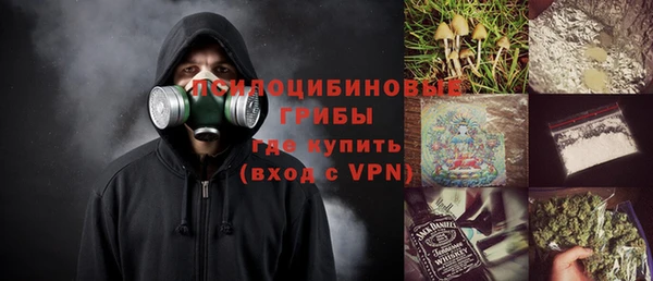 бошки Алексин
