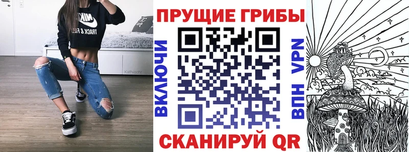 Галлюциногенные грибы Magic Shrooms Завитинск